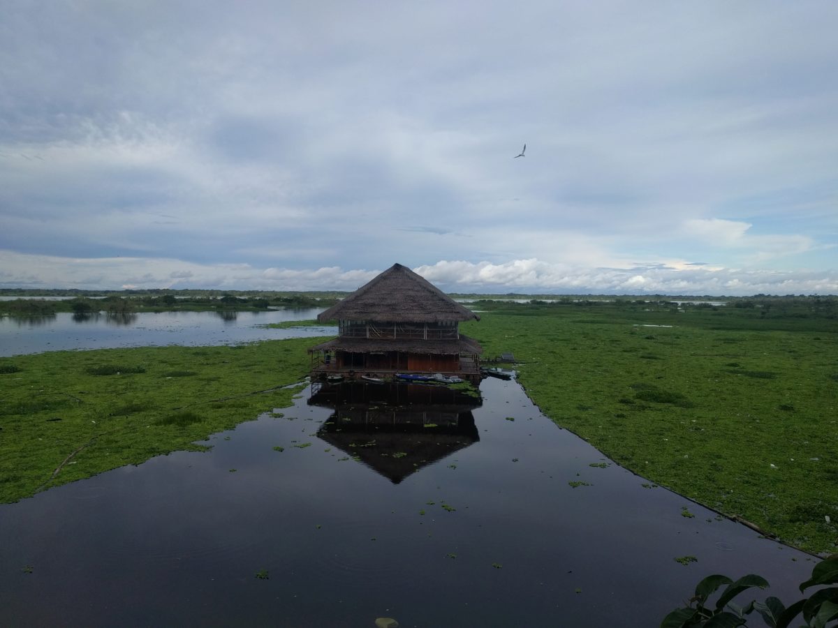 Pérou: Visite d'Iquitos
